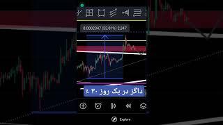 داگز تو یک روز ۳۰٪ سود داد #crypto