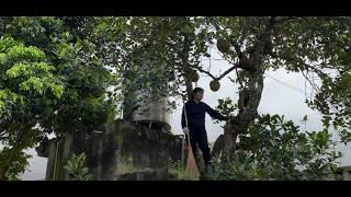 Harvest giant ripe jackfruit and bring it to the market to sell and garden