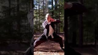 Chen style tai chi 18 movements #taichi #taiji #taijiquan