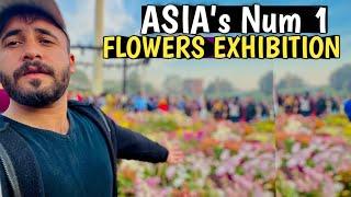 Flowers Festival At Race course Park Lahore