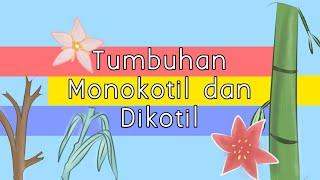 TUMBUHAN MONOKOTIL DAN DIKOTIL