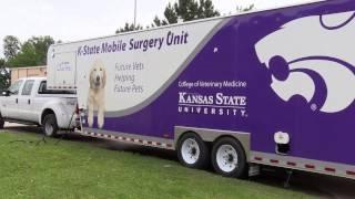 New Shelter Medicine Program Goes Mobile in Surgery Unit