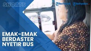 Viral Aksi Emak-emak Berdaster Menyetir Bus di Jalan Tol, Bukan Wanita Sembarangan