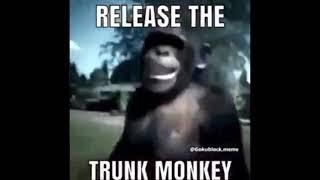 Release the Trunk Monkey
