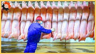 How Does Modern Pork Production Technology Work in Germany? | Food Industry Machines