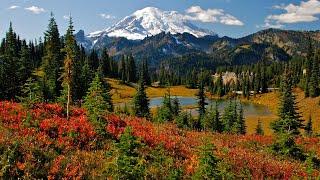 Mt. Rainier National Park, Seattle