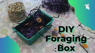 How to create a foraging box ((SUPER EASY))