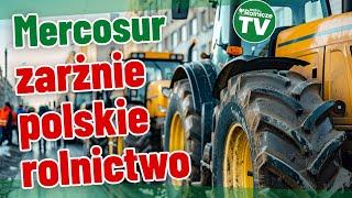 Rolnicy nie pozwolą na podpisanie Mercosur? Będą protesty?