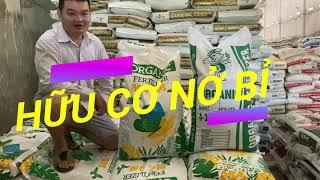331: Hữu cở Nở Nhập khẩu từ Bỉ 70% chỉ từ 200k - Mua 10 tặng 1
