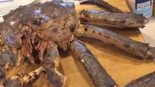 Alaskan King Crab - Wicked Good Eats