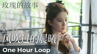 【One Hour Loop】The Tale of Rose 《玫瑰的故事》|《风吹过的晨曦》“Feng Chui Guo De Chen Xi” by Zhou Shen 周深