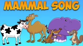 Mammal Song