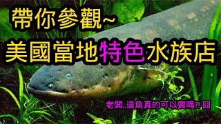 美國當地水族店長什麼樣子? 老闆..這魚也能賣?! | 水族系列