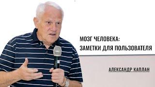 Мозг человека: заметки для пользователя. Александр Каплан