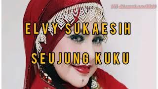 lirik Lagu Seujung Kuku - Elvy Sukaesih (video lirik)