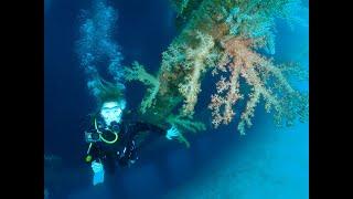 The Culture Cave Dives Deep: A Short Feature Film: Dive Logs #10 & #11 - Magical Encounters