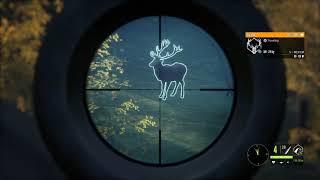 theHunter: Call of The Wild - Hunting From The Lookout Tower