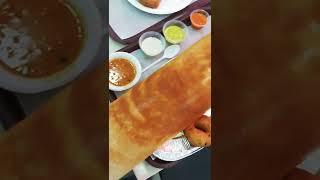 Qatar saravana bhavan -paper ghee roast 