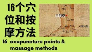 人体16个重要穴位和按摩方法的分析 [Analysis of 16 important acupuncture points & massage methods of the human body]