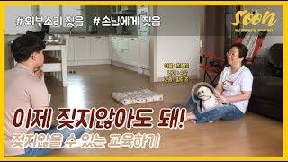 [SOON] 집에 온 손님을 보면 짖는 강아지 교육하는 법!