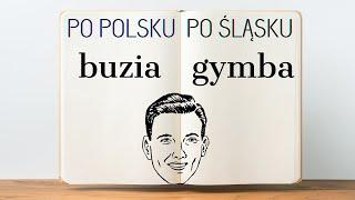 100 ŚMIESZNYCH SŁÓW PO ŚLĄSKU, które musisz poznać! Czy wiesz, że GRUBA po ŚLĄSKU to... 