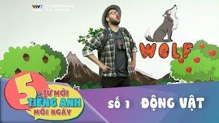 5 từ mới Tiếng Anh mỗi ngày | Số 1: Động vật | VTV7