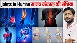 मानव शरीर की संधि | Joints In Human skeleton | Joints Of Body | Joints Of Bone | Types Of Joints