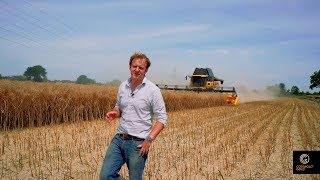 Cotswold Gold - The Harvest