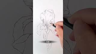 Учитесь рисовать с нами #какнаучитьсярисовать #рисуемпошагово #урокирисования #рисованиеснуля