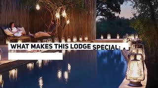 Top 5 Londolozi Lodges