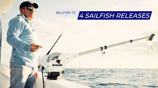 4 Sailfish, 39 Contender and Fishing Tips - Billfish TV 115