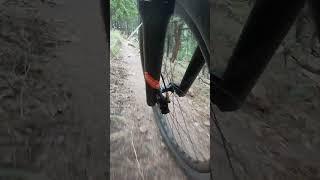 Fork Cam POV.