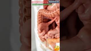 Animation of Digestive System | Stomach AI Art | 38