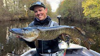 Heavy Pike Fly Fishing in Small Stream - Must Try Fishing Style