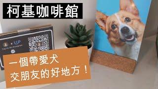 【小編直擊】LA第一家柯基咖啡館~ 燃起你的寵物魂！