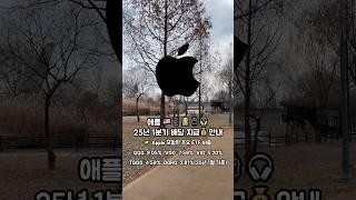 애플 25년 1분기 배당 지급 안내