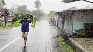 Walk in Heavy Rain and Thunder in Rural Life | ASMR, Natural Rain Sounds For Sound Sleep