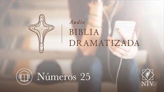 Audio Biblia Dramatizada | Números 25