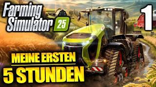 Ich baue einen Bauernhof in Farming Simulator 25