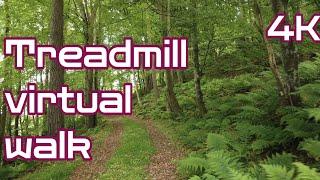 Treadmill virtual Walk / Hike / Run • 4K virtual scenery • Forest walk • #Scotland