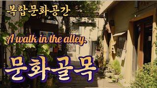 문화골목/복합문화공간/방구석산책/골목길여행/A walk in the alley