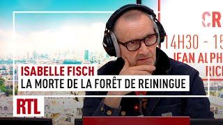 L'heure du Crime : Isabelle Fisch, la morte de la forêt de Reiningue