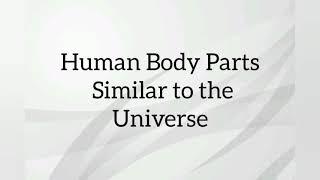 Human Body Parts Similar To The Universe | Space Science | Einstein