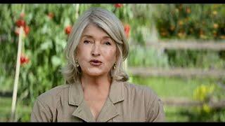 Miracle Gro Martha Stewart 3 Commercial