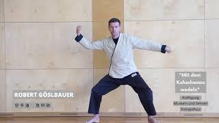 Qi Gong mit Robert Göslbauer | Energie positiv lenken | Baha Balance