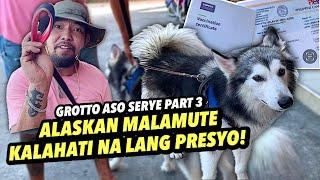 MAGANDANG BREED BAGSAK PRESYO | GROTTO ADO SERYE PART 3 | NOVEMBER 24, 2024