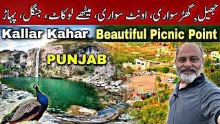 Kallar kahar tourist attraction in Punjab Pakistan | many picnic points at one place chakwal