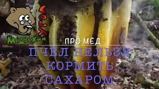 Про МЁД - пчёл нельзя кормить сахаром