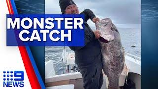 A WA angler has smashed a 50-year dhufish record reeling in a monster 26 kilo catch