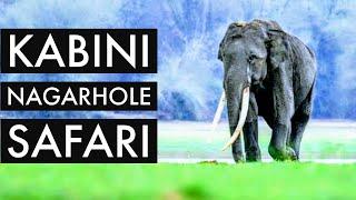 Safari in Kabini Nagarhole |  safari timings, booking | travelogue| with English subtitles